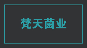 食品行业南京鼓楼区工作服设计款式